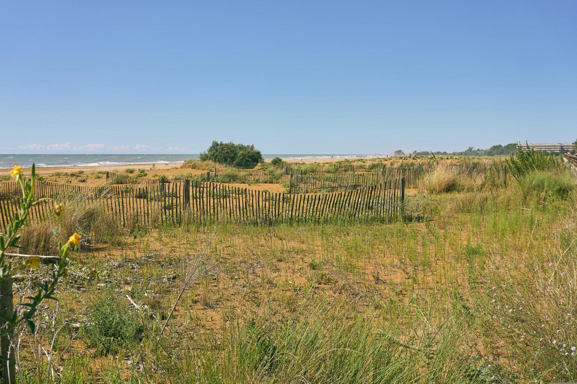 Apartment Relaxing With Private Garden 250m From The Sea