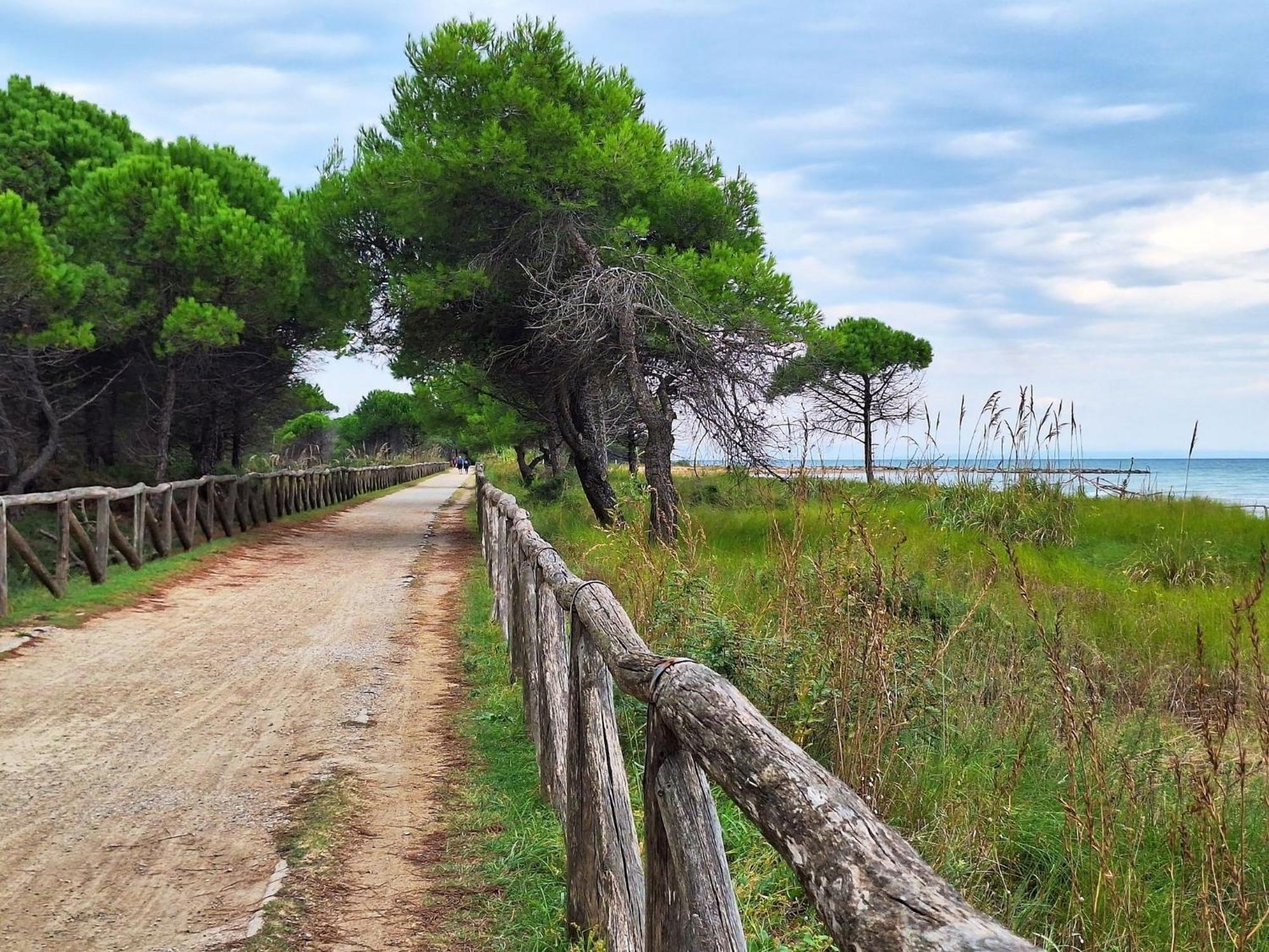 Relaxing With Private Garden 250m From The Sea Bibione